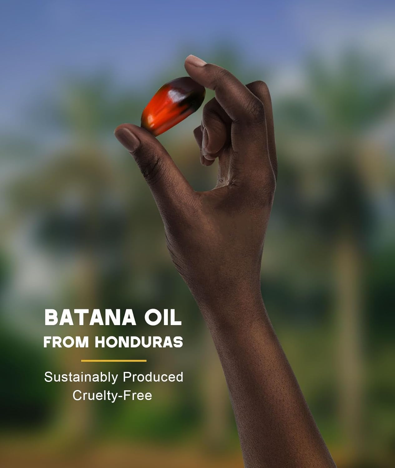 Batana Oil for Hair Growth - 100% Pure Natural Paste from Honduras, Prevents Hair Loss and Enhances Thickness, Organic Raw Hair Mask for Men and Women (4.05 Oz)
